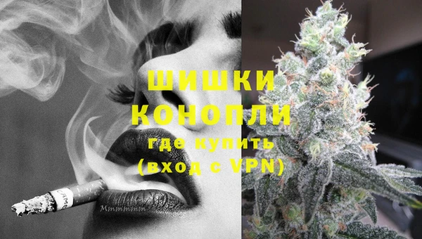 МДПВ Бронницы