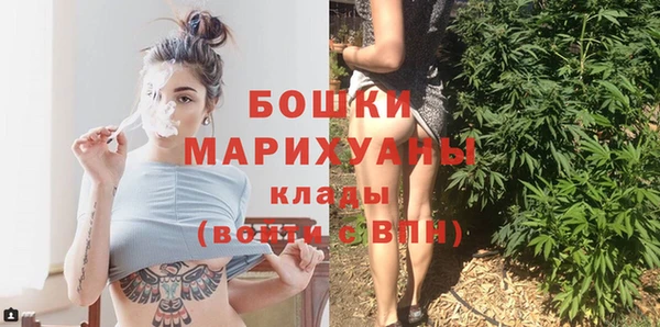 МДПВ Бронницы
