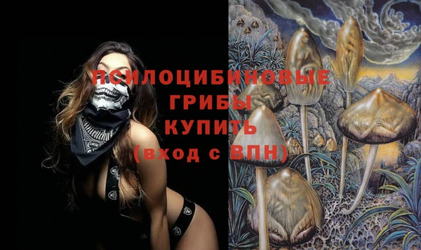 МДПВ Бронницы