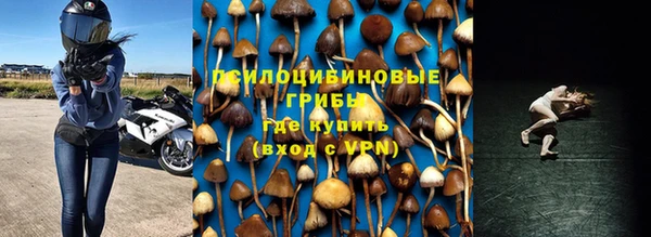 гидропоника Бугульма
