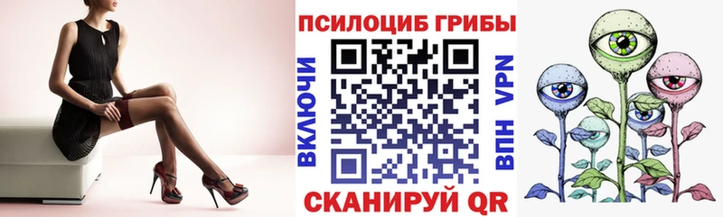 Галлюциногенные грибы ЛСД  продажа наркотиков  KRAKEN зеркало  Новосокольники 