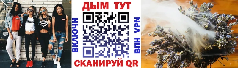 Каннабис OG Kush  закладки  Новосокольники 